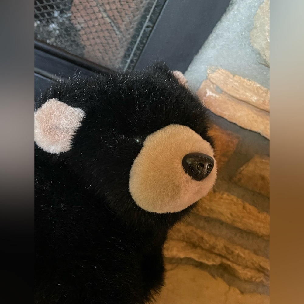 2002 Fancy Zoo Black Bear Realistic Lifelike Puppet 1 Owner Clean Vintage Plush.